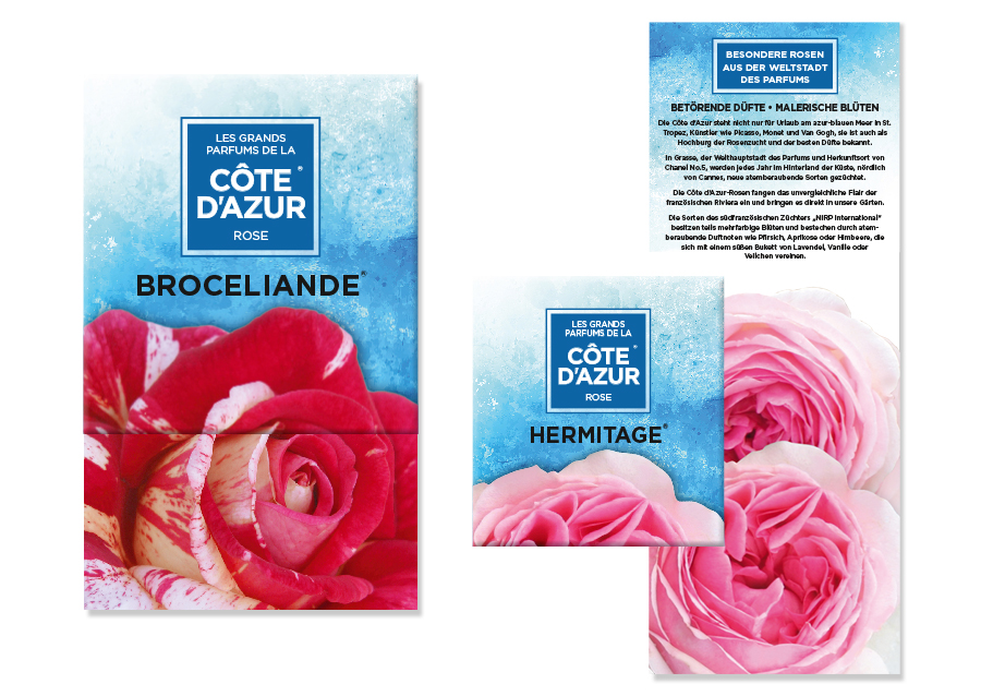 Pflanzenhandel Jeddeloh Rose Les grands parfums
