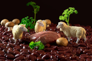 Pflanzenfresser, Fleischfresser, konzeptfotografie schleich-s