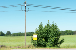 Nahverkehr in Mecklenburg-Vorpommern, Serie Fotografie