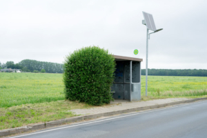 Nahverkehr in Mecklenburg-Vorpommern, Serie Fotografie