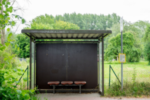 Nahverkehr in Mecklenburg-Vorpommern, Serie Fotografie