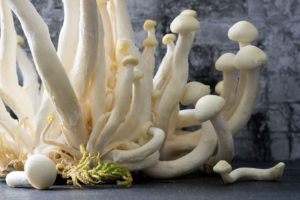 Makroaufnahme, Pilz, weisser Buchenpilz, Fotografie, Serie