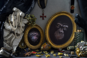 Stilleben, story, Generation, Fotografie, Serie, chimp